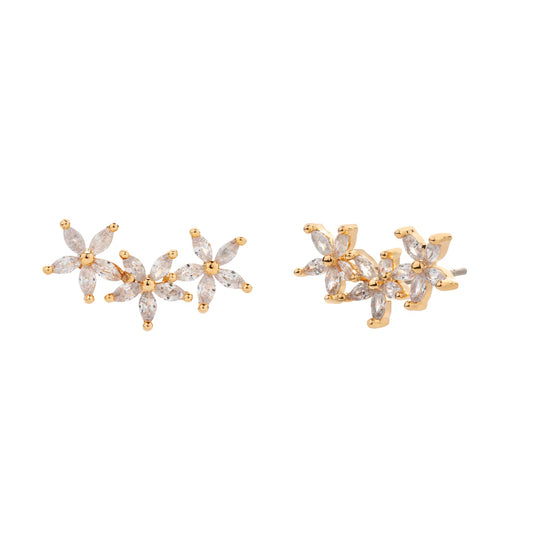 Cubic Zirconia stud Earrings